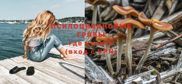 гашик Белоозёрский