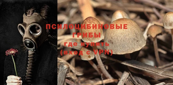 гашик Белоозёрский