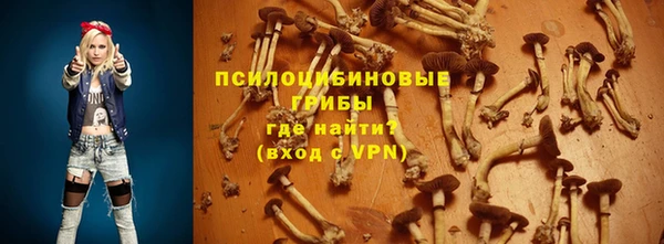 гашик Белоозёрский