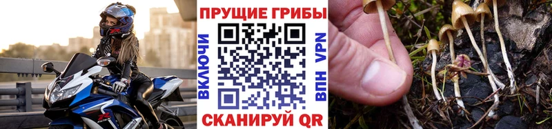 Галлюциногенные грибы MAGIC MUSHROOMS  Реутов 